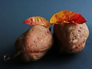 sweet-potato-534874_640